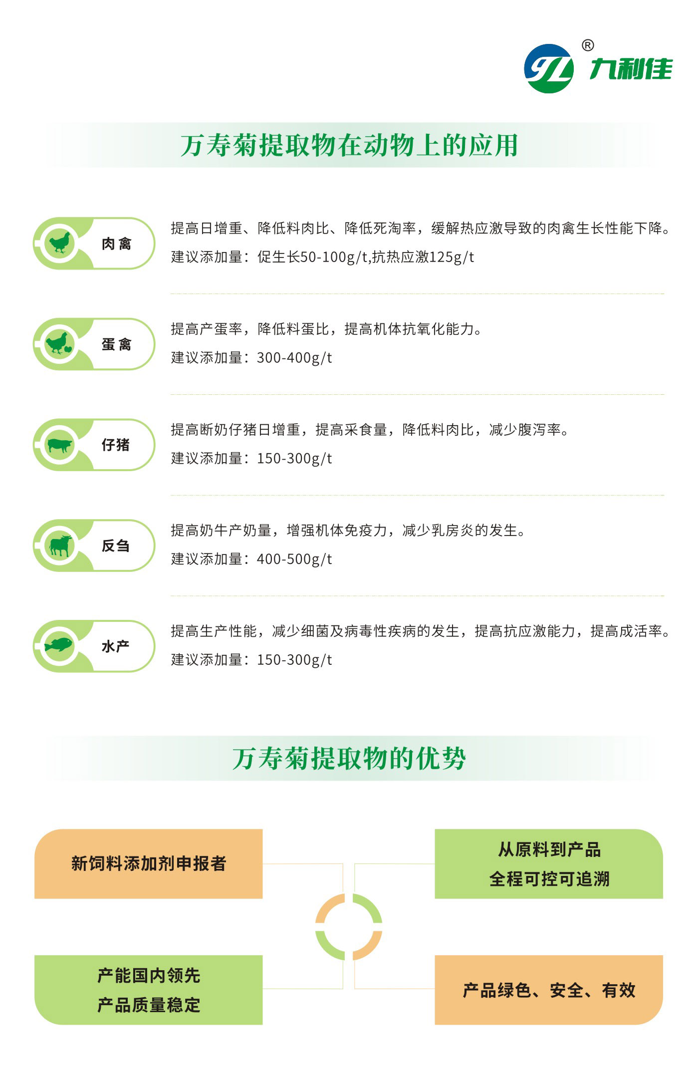 万寿菊yingy  (1).jpg