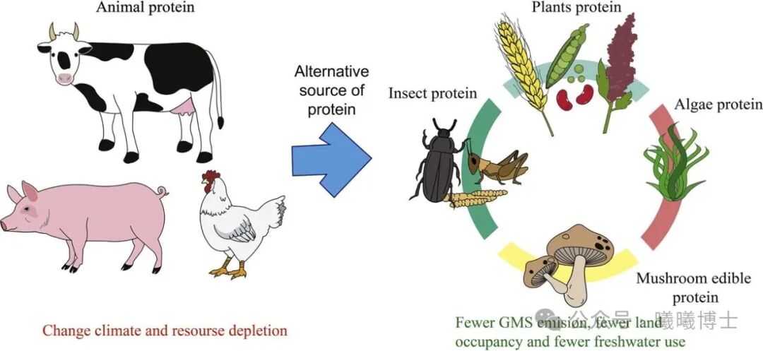 A diagram of a life cycle

AI-generated content may be incorrect.